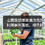 山西首部煤炭清洁高效利用条例落地,绿色转型如何实现?(图3) 山西首部煤炭清洁高效利用条例落地,绿色转型如何实现?(图3)