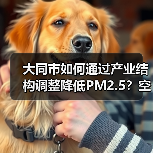 大同市如何通过产业结构调整降低PM2.5?空气改善新举措(图1) 大同市如何通过产业结构调整降低PM2.5?空气改善新举措(图1)