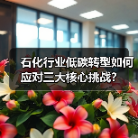 石化行业低碳转型如何应对三大核心挑战?(图2) 石化行业低碳转型如何应对三大核心挑战?(图2)