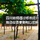 四川如何通过标准提升推动设备更新和以旧换新（图2）