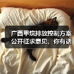 广西甲烷排放控制方案公开征求意见,你有话说吗?(图3) 广西甲烷排放控制方案公开征求意见,你有话说吗?(图3)