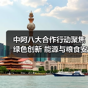 中阿八大合作行动聚焦绿色创新 能源与粮食安全成核心(图3) 中阿八大合作行动聚焦绿色创新 能源与粮食安全成核心(图3)