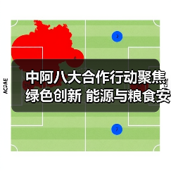 中阿八大合作行动聚焦绿色创新 能源与粮食安全成核心(图4) 中阿八大合作行动聚焦绿色创新 能源与粮食安全成核心(图4)