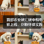 首部农业碳汇碳中和电影上线,创新环保实践引关注(图2) 首部农业碳汇碳中和电影上线,创新环保实践引关注(图2)