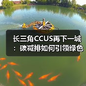 长三角CCUS再下一城：碳减排如何引领绿色转型？（图3）