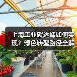 上海工业碳达峰如何实现?绿色转型路径全解析(图1) 上海工业碳达峰如何实现?绿色转型路径全解析(图1)