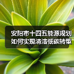 安阳市十四五能源规划如何实现清洁低碳转型?(图3) 安阳市十四五能源规划如何实现清洁低碳转型?(图3)