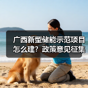 广西新型储能示范项目怎么建?政策意见征集中(图3) 广西新型储能示范项目怎么建?政策意见征集中(图3)