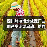 四川塘汛污水处理厂三期通水调试启动，处理能力达30万吨/日（图1）