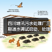 四川塘汛污水处理厂三期通水调试启动，处理能力达30万吨/日（图4）