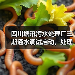四川塘汛污水处理厂三期通水调试启动，处理能力达30万吨/日（图3）