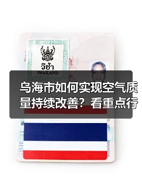 乌海市如何实现空气质量持续改善?看重点行业超低排放改造计划(图3) 乌海市如何实现空气质量持续改善?看重点行业超低排放改造计划(图3)