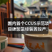 国内首个CCUS示范项目碳酸氢铵装置投产，环保效益显著（图3）
