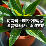 河南省土壤污染防治资金管理办法：重点支持方向与管理要点（图1）