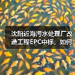 沈阳近海污水处理厂改造工程EPC中标,如何实现高效升级?(图4) 沈阳近海污水处理厂改造工程EPC中标,如何实现高效升级?(图4)