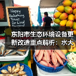 东阳市生态环境设备更新改造重点解析：水大气治理与绿色转型（图2）