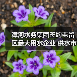 漳河水务集团签约屯留区最大用水企业 供水市场再扩（图4）