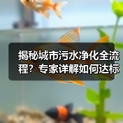 揭秘城市污水净化全流程？专家详解如何达标排放（图2）