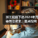 浙江提前下达2024年污染防治资金，重点投向哪些领域？（图4）