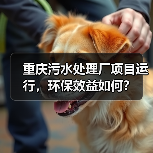 重庆污水处理厂项目运行，环保效益如何？（图4）