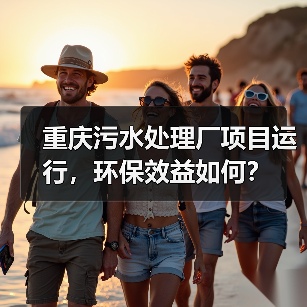 重庆污水处理厂项目运行，环保效益如何？（图3）