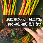 总投资26亿！阳江水质净化中心如何提升治水效能？（图1）