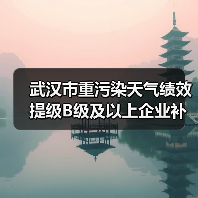 武汉市重污染天气绩效提级B级及以上企业补贴名单及金额公示（图2）