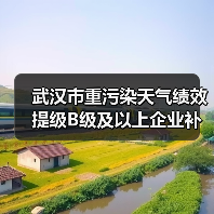 武汉市重污染天气绩效提级B级及以上企业补贴名单及金额公示（图4）