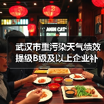 武汉市重污染天气绩效提级B级及以上企业补贴名单及金额公示（图3）