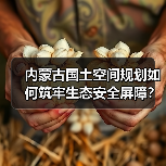 内蒙古国土空间规划如何筑牢生态安全屏障？（图4）