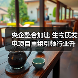 央企整合加速 生物质发电项目重组引领行业升级（图1）