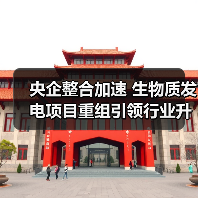 央企整合加速 生物质发电项目重组引领行业升级（图3）