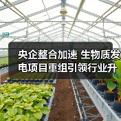 央企整合加速 生物质发电项目重组引领行业升级（图2）