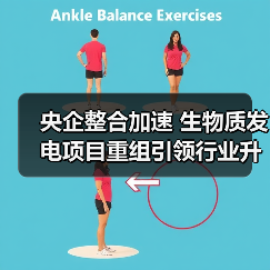 央企整合加速 生物质发电项目重组引领行业升级（图4）