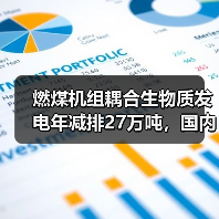燃煤机组耦合生物质发电年减排27万吨，国内最大项目投产（图2）
