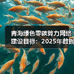青海绿色零碳算力网络建设目标：2025年数据中心超10万架（图1）