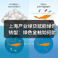 上海产业绿贷赋能绿色转型：绿色金融如何助力实体企业低碳发展？（图4）