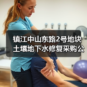 镇江中山东路2号地块土壤地下水修复采购公告深度解读（图4）