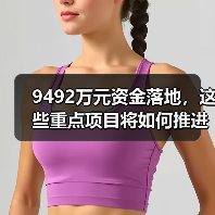 9492万元资金落地，这些重点项目将如何推进？（图3）
