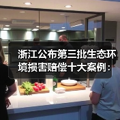 浙江公布第三批生态环境损害赔偿十大案例：企业违法成本暴涨（图2）