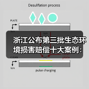 浙江公布第三批生态环境损害赔偿十大案例：企业违法成本暴涨（图3）