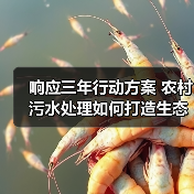 响应三年行动方案 农村污水处理如何打造生态治理标杆（图3）