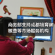 商务部支持成都培育碳核查等市场服务机构（图2）