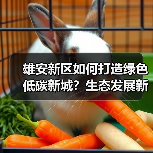 雄安新区如何打造绿色低碳新城？生态发展新样本（图1）