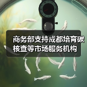 商务部支持成都培育碳核查等市场服务机构（图4）
