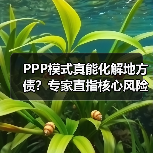 PPP模式真能化解地方债？专家直指核心风险（图2）