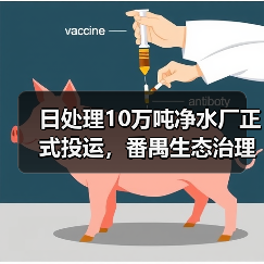 日处理10万吨净水厂正式投运，番禺生态治理新标杆！（图2）