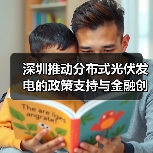 深圳推动分布式光伏发电的政策支持与金融创新（图3）