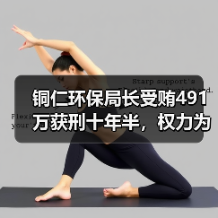 铜仁环保局长受贿491万获刑十年半，权力为何失控？（图2）
