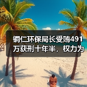 铜仁环保局长受贿491万获刑十年半，权力为何失控？（图1）